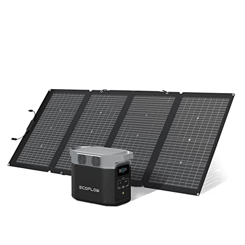 EcoFlow DELTA 2 tragbare Powerstation mit 220W Solar Panel, balkonkraftwerk mit speicher solaranlage balkon und Schnellladung als Solargenerator für die Stromversorgung, für Camping und Wohnmobile